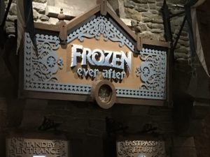 Frozen ever after